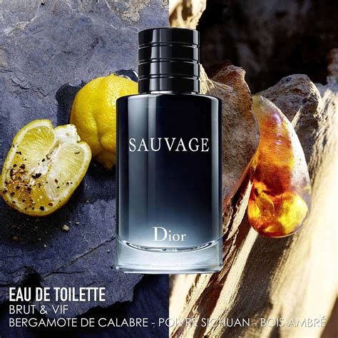 christian dior jules eau de toilette|sauvage eau de toilette 60ml.